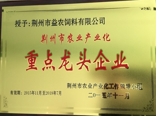 荊州重點龍頭企業(yè).jpg