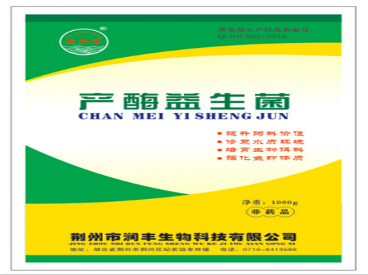 產酶益生菌.png